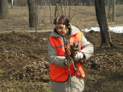 subbotnik 2011